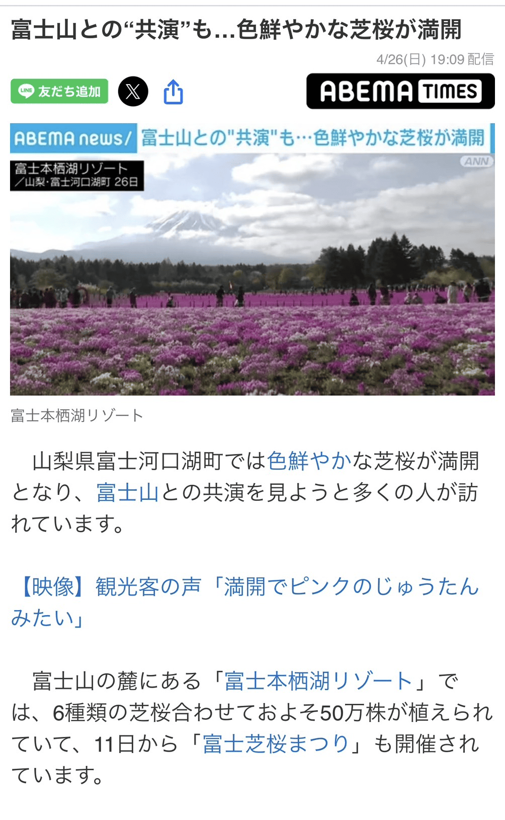 富士山との共演！色鮮やかな芝桜が満開｜2026年春