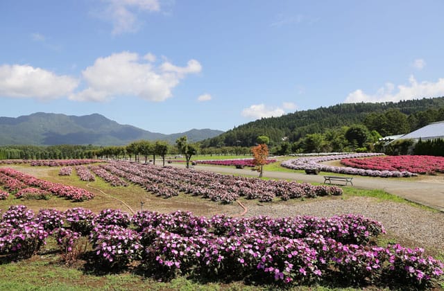 花の都公園