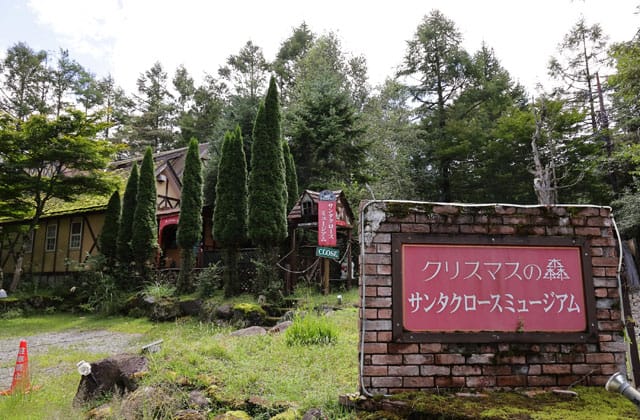 クリスマスの森